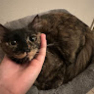 Meet your Posher, Jeslyn